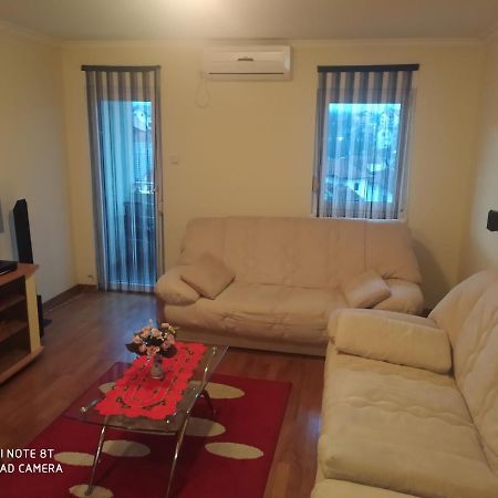 Apartman Arsenijevic Vrnjačka Banja Zewnętrze zdjęcie