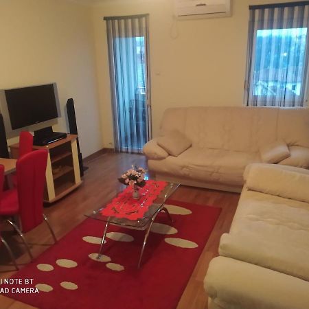 Apartman Arsenijevic Vrnjačka Banja Zewnętrze zdjęcie