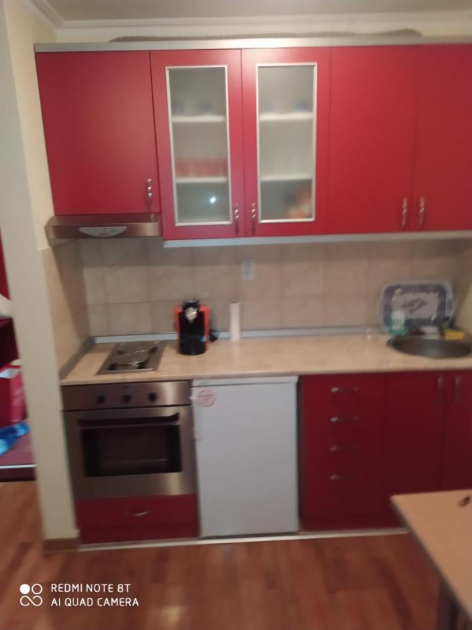 Apartman Arsenijevic Vrnjačka Banja Zewnętrze zdjęcie
