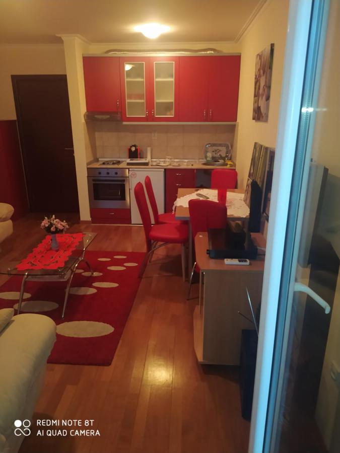 Apartman Arsenijevic Vrnjačka Banja Zewnętrze zdjęcie